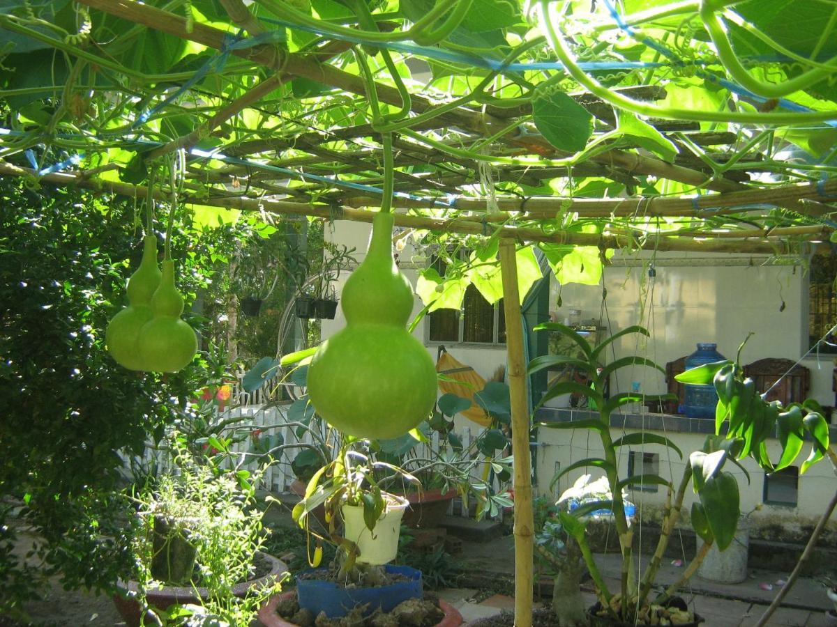 Coco Happy Farm Ben Tre