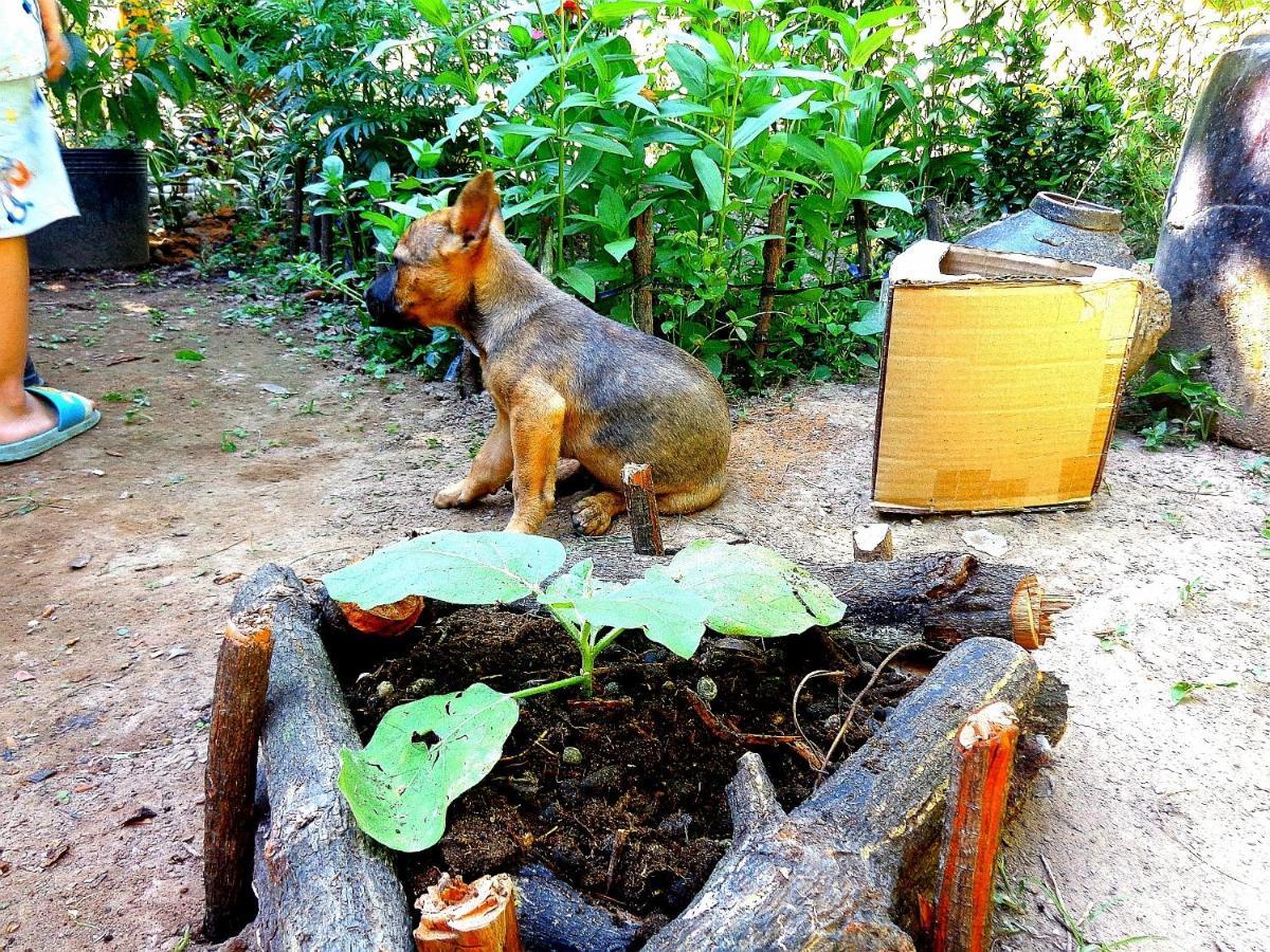 Coco Happy Farm * Ben Tre