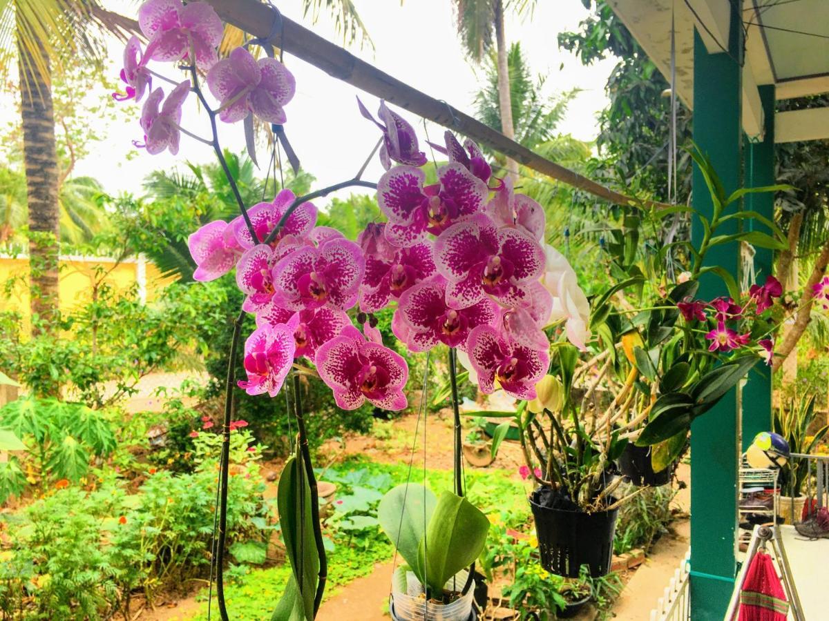Farm stay Coco Happy Farm Ben Tre
