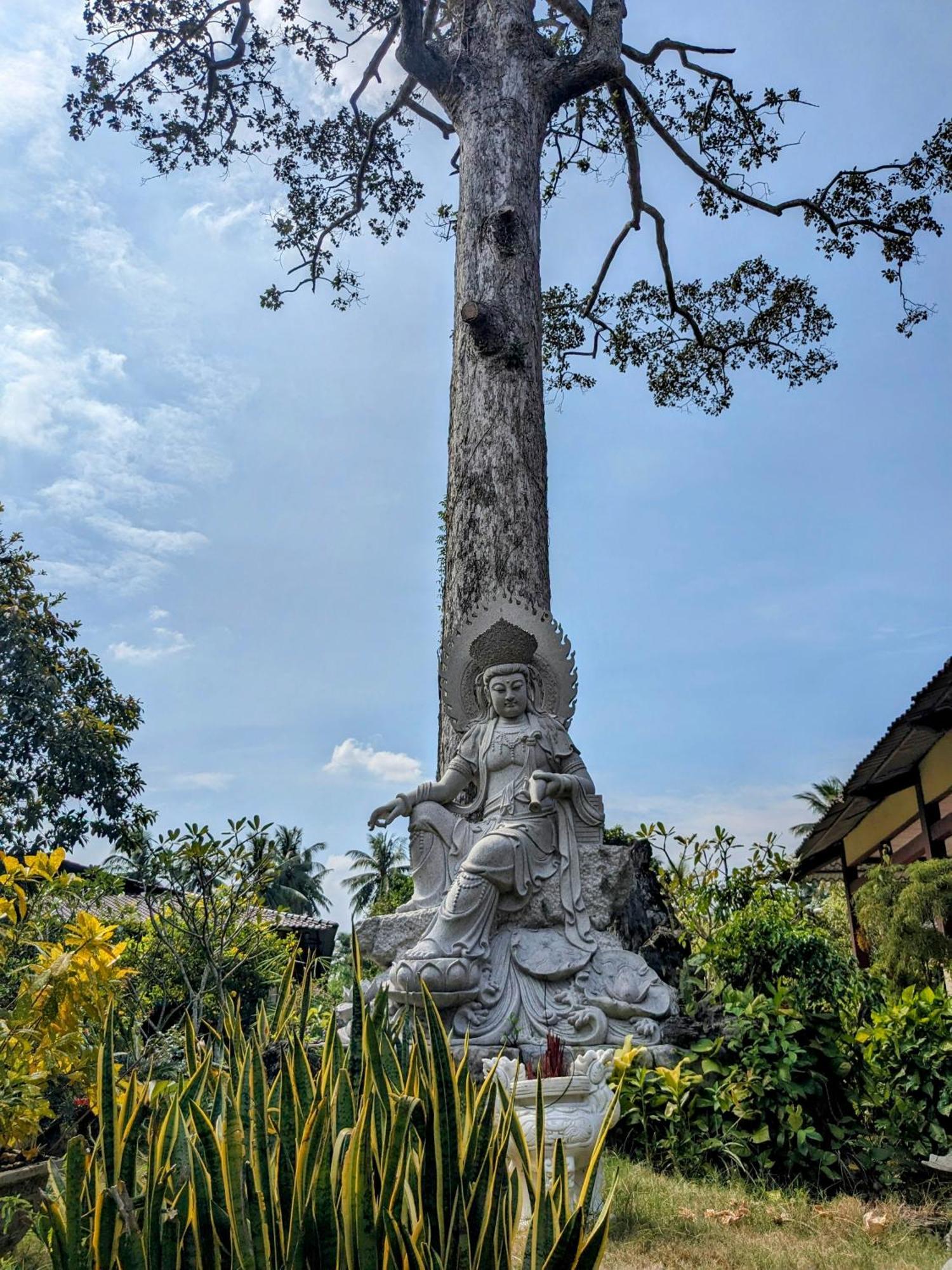 Coco Happy Farm Ben Tre